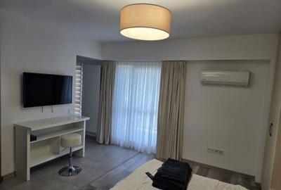 Garsonieră semidecomandată în Mogoșoaia - 1
