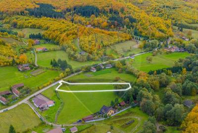 COMISION 0% Teren 3,109mp Dobarlau/ Par?ial intravilan - 4