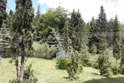 Casa de vacan?a in Piatra Fantanele + 4,5 arii teren - 2