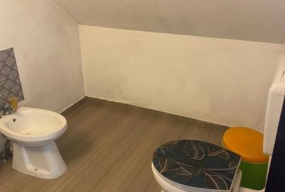 Casă în Șerbănești - 7