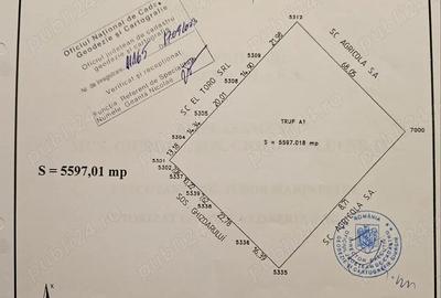 Casă cu 6 camere cu Teren 11500 Mp în Central - 1