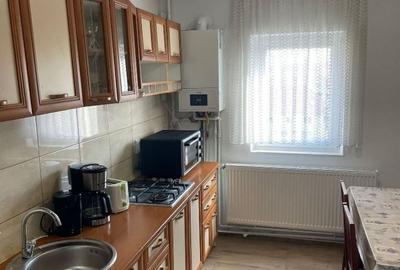 Apartament cu 2 camere semidecomandat în Turnișor - 8