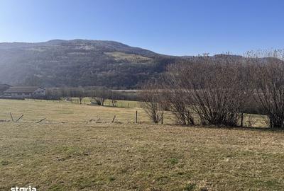 Teren de 3020 mp, în Negreni