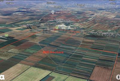 Teren de 5000000 mp, în Slobozia Ciorăști - 2