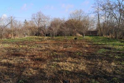 Teren intravilan 1700 m plus casa batranrasca - 6