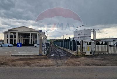Teren 10,000mp Bacau / Strada Alexandru Safran - 17