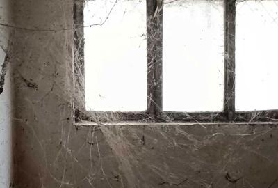 Apartament cu 3 camere decomandat în Central - 1