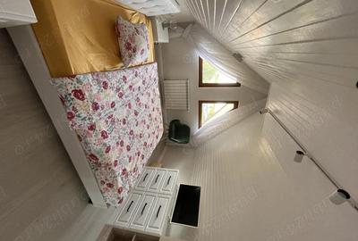 Casă cu 1 camere cu Teren 2859 Mp în Siliștea Snagovului - 1