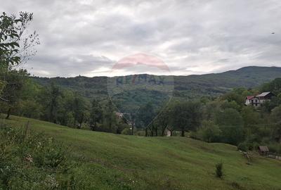 Teren de 4000 mp, în Moroeni - 9