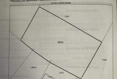 1073mp cu 25m deschidere Radu Negru Buzaului 121Euro/ mp 1073mp cu 25m deschidere Radu Negru Buzaului 121Euro/ mp - 3
