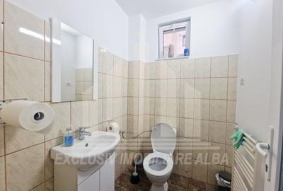 Spațiu comercial, de 400 mp, în Cetate - 11