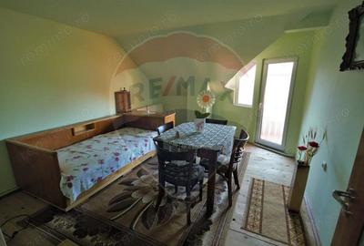 Casa / Vila cu 7 camere de vanzare - 5