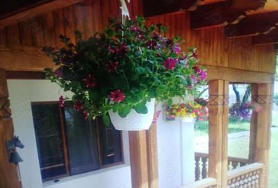 Casă în Breaza de Sus - 3