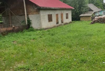 Casă cu 2 camere în Luncași - 10