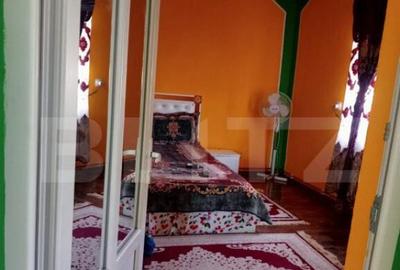 Casa spatioasa in Sanmihaiu de Campie - 6