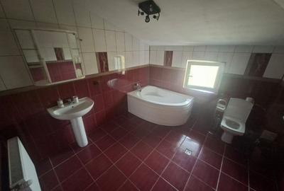 Inchiriez Vila 5 camere in Padurea Snagov, Silistea Snagovului / Pet Friendly - 11