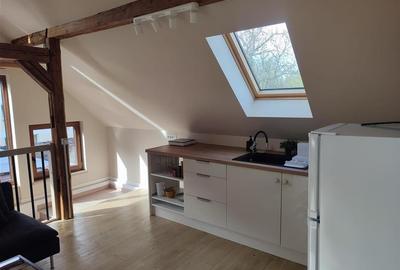 Apartament modern de inchiriat  zona Bartolomeu, la curte, complet renovat - 8