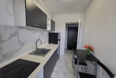 Apartament cu 2 camere semidecomandat, mobilat în Lunca Cetățuii - 3