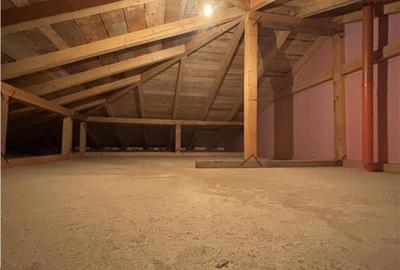 Duplex pe parter Mosnita Noua - 11