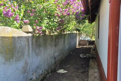 Casă cu 2 camere cu Teren 1837 Mp în Central - 3