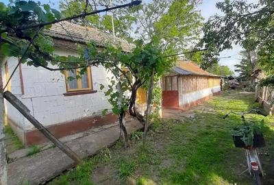 Casa batraneasca de vanzare - 6
