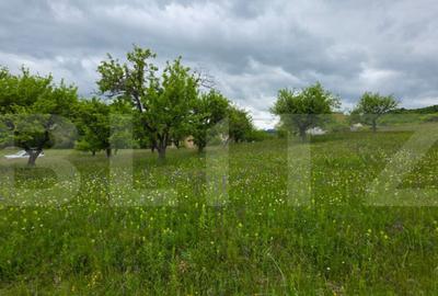 Teren intravilan, toate utilitatile, 9 ari intravilan, zona - 7