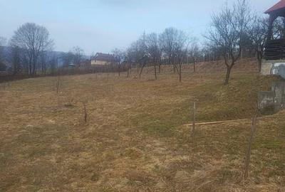 Teren de 5976 mp, în Moisei - 7