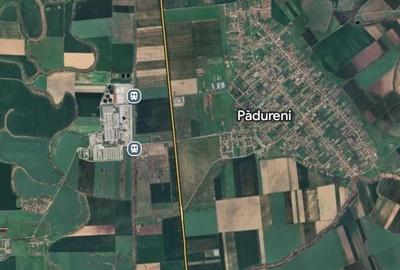 Teren Construcții intravilan de 7400 mp, în Pădureni (Jebel) - 1