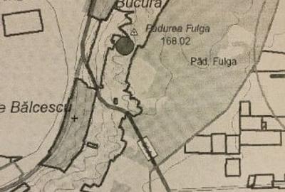 Vânzare un teren vie - 2