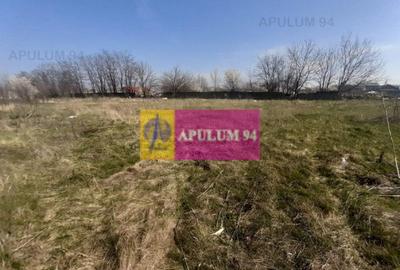 Teren Construcții intravilan de 4800 mp, în Glina - 40