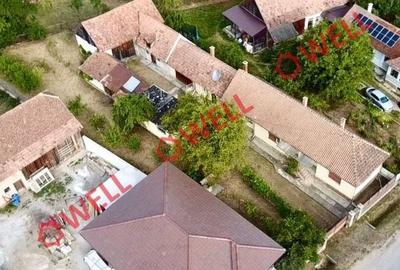 De vânzare casă familială în centrul satului Valea Crișului! - 10
