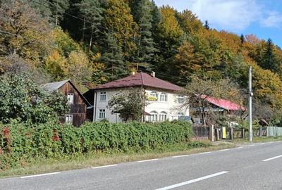 Vila de vanzare, posibilitate pensiune - 10