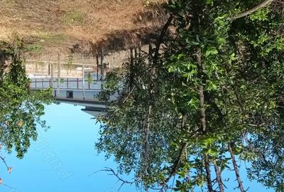 Casă cu 4 camere cu Teren 1000 Mp în Central - 2