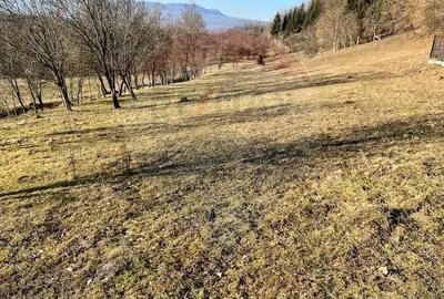 Teren de 6900 mp, în Breb - 1