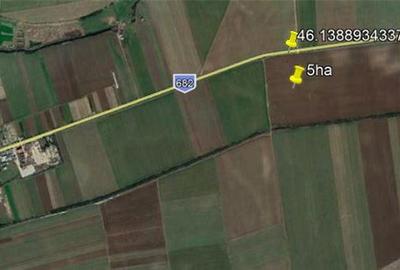 Teren de 50000 mp, în Sud - 1