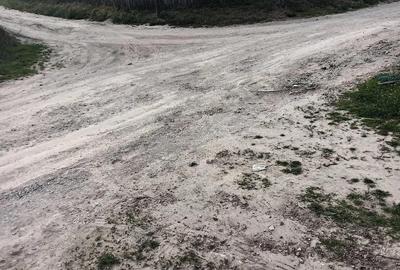 Casă cu 4 camere cu Teren 600 Mp în Dunavățu de Sus - 3