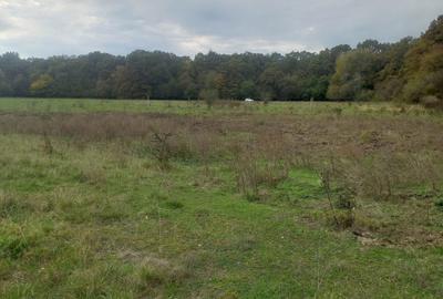 Spațiu comercial, în Hărman - 1