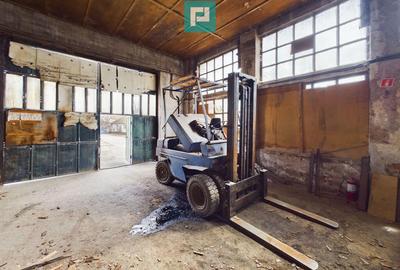 Fabrica de prelucrare a lemnului ?i palului - 5