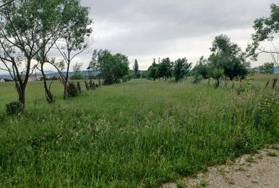 Teren Construcții intravilan de 10500 mp, în Exterior Nord - 11