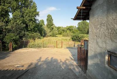 Casă cu 6 camere cu Teren 2160 Mp în Baciu - 3