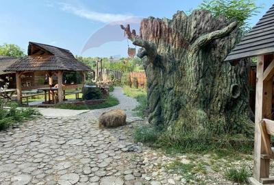 Hotel/Pensiune, de 231 mp, în Dobreni - 12