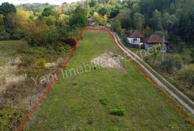 Teren de 2250 mp, în Ioanicești - 16