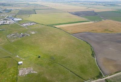 Teren intravilan de 26,606mp Sacalaz - 21