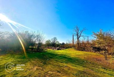 Teren intravilan 71.000mp, Barsa, Renumita Fabrica de caramida si casa 4 camere - 6