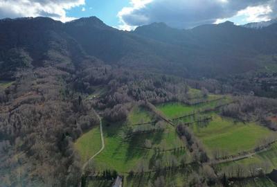 Spațiu comercial, în Tohănița - 2