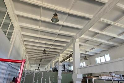 Hala circa 350 mp , zona Borsului , ocupabila imediat Hala circa 350 mp , zona Borsului , ocupabila imediat - 4