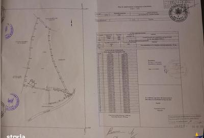 Teren de 6966 mp, în Fundata - 4