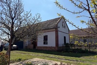 Casă cu 3 camere cu Teren 4000 Mp în Iecea Mare - 3