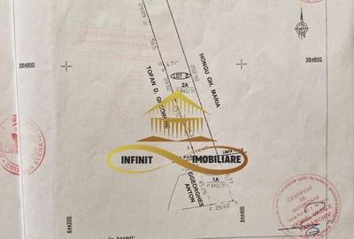 Teren de vanzare Filipesti Bacau 6838 mp - 13