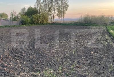Teren de 3600 mp, în Forăști - 3